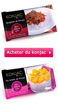 Top 15 des meilleures recettes à base de Konjac aliment minceur